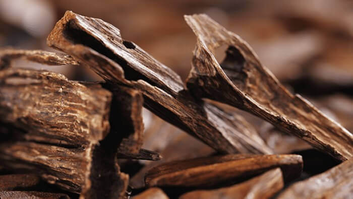 Gỗ trầm kiến hương có nhiều tác dụng về phong thủy và tâm linh